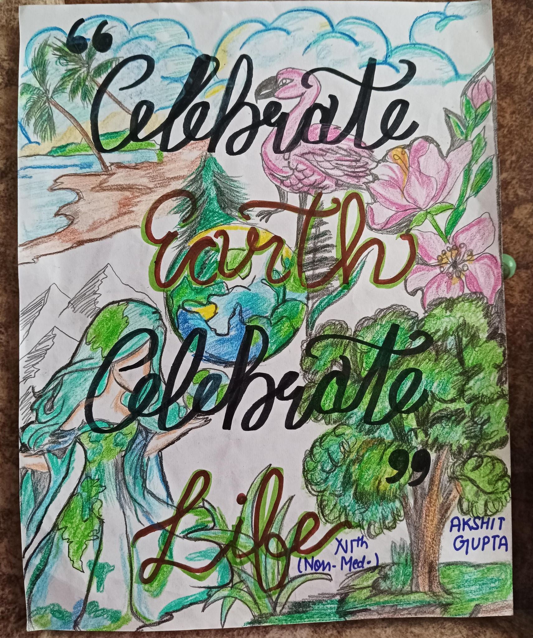 494525878 1210129294232273 1989317669238282179 n